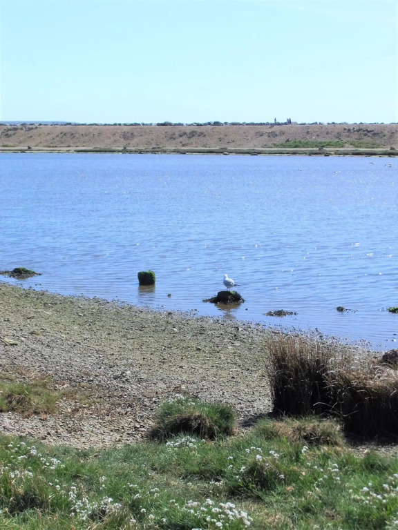 THE HIDEAWAY - LUXURY SELF CATERING COASTAL APARTMENT WITH PRIVATE ENTRANCE - JUST A FEW MINUTES WALK TO THE BEACH with FREE PRIVATE OFF ROAD PARKING