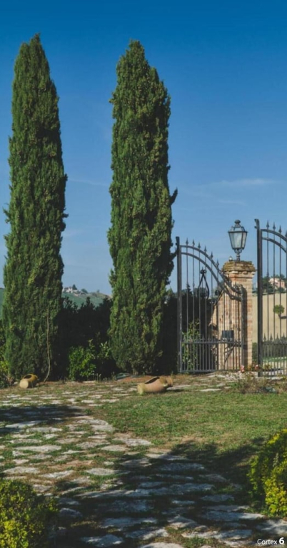 Villa Bentivoglio - Holiday Home With Swimming Pool
