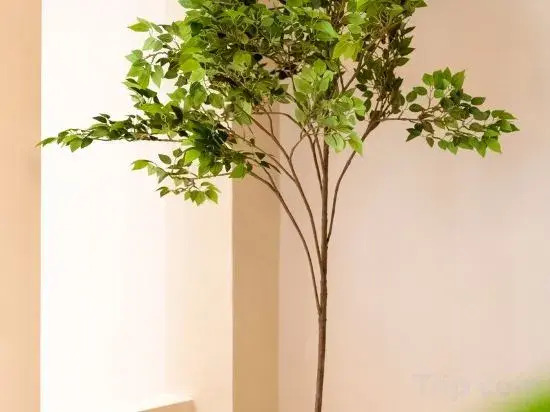 Zhenhe Homestay (Pingjiang Road Guanqian Street Branch)