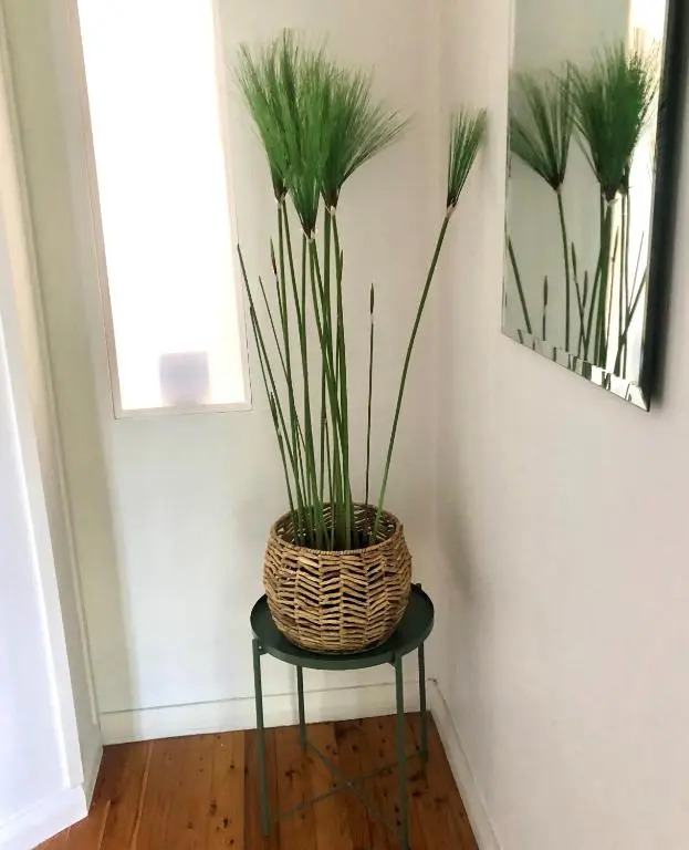 Monterey Guest Studio near Hospitals, Beach and Airport