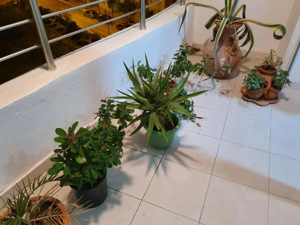 Appartement S+1 Luxueux aux Jardins de Carthage
