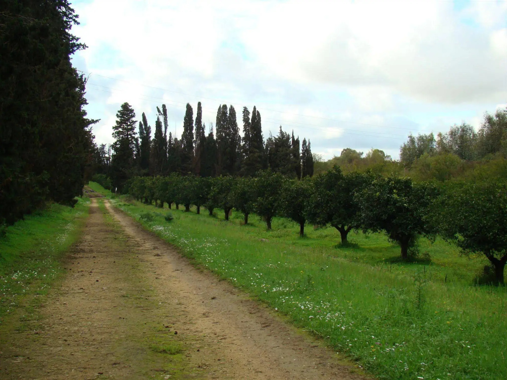Case Di Latomie