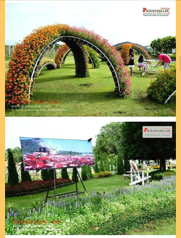 Sea Hill Hotel Bangsaray