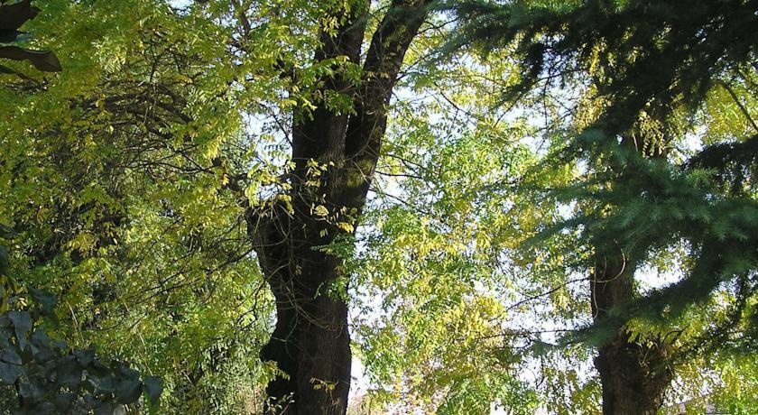 La Grande Acacia