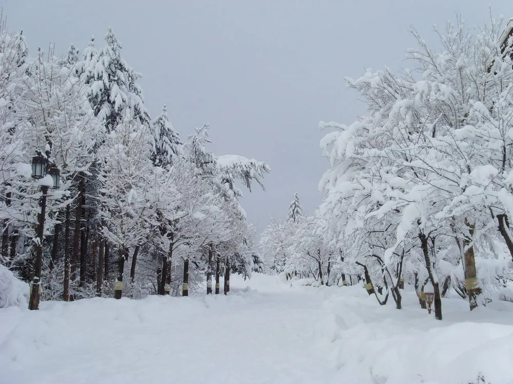 Sorak Park