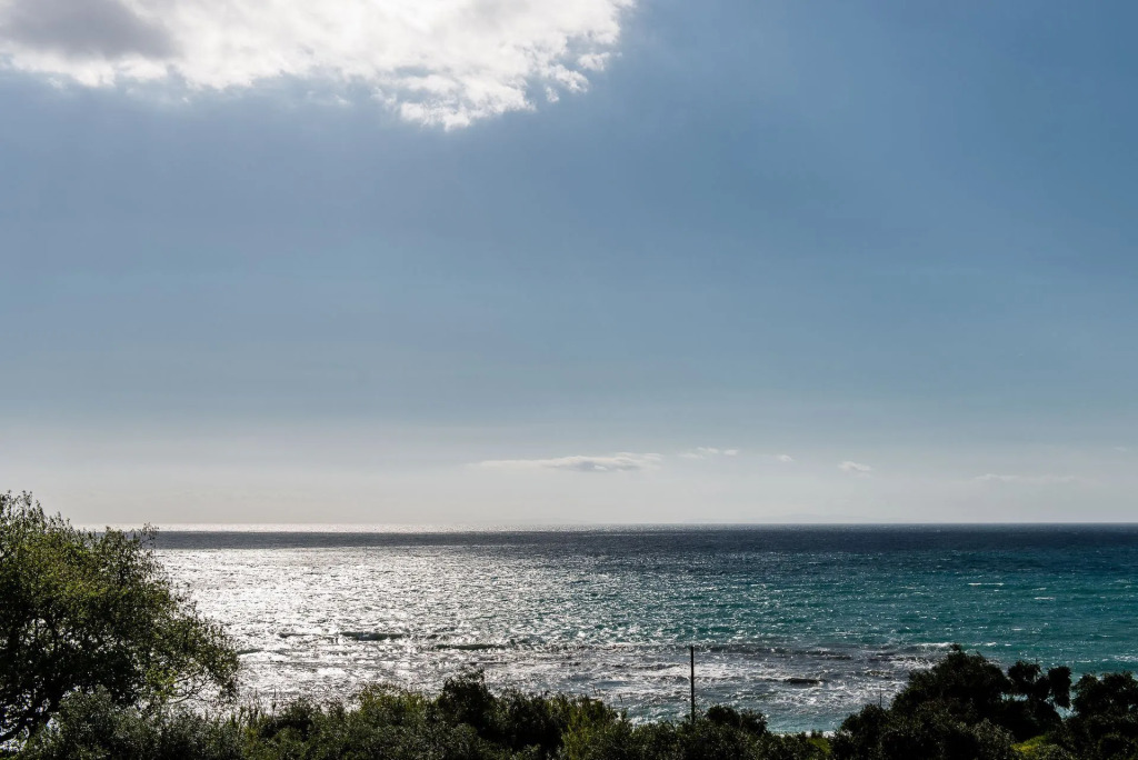 Palmina Mare