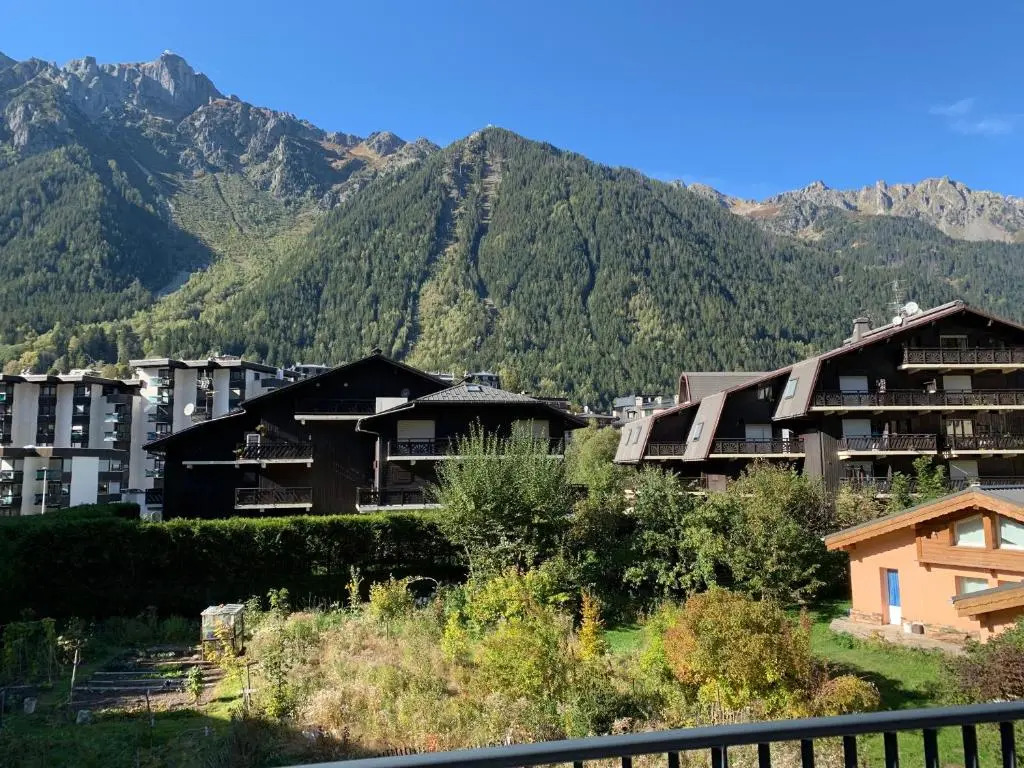 Residence Androsace Du Lyret