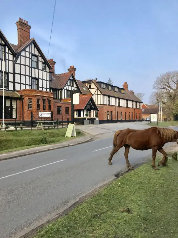 Forest Park Country Hotel & Inn, Brockenhurst, New Forest, Hampshire - The Coaching Inn Group