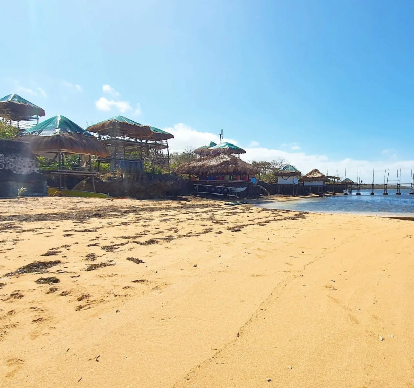 Birdland Beach Club
