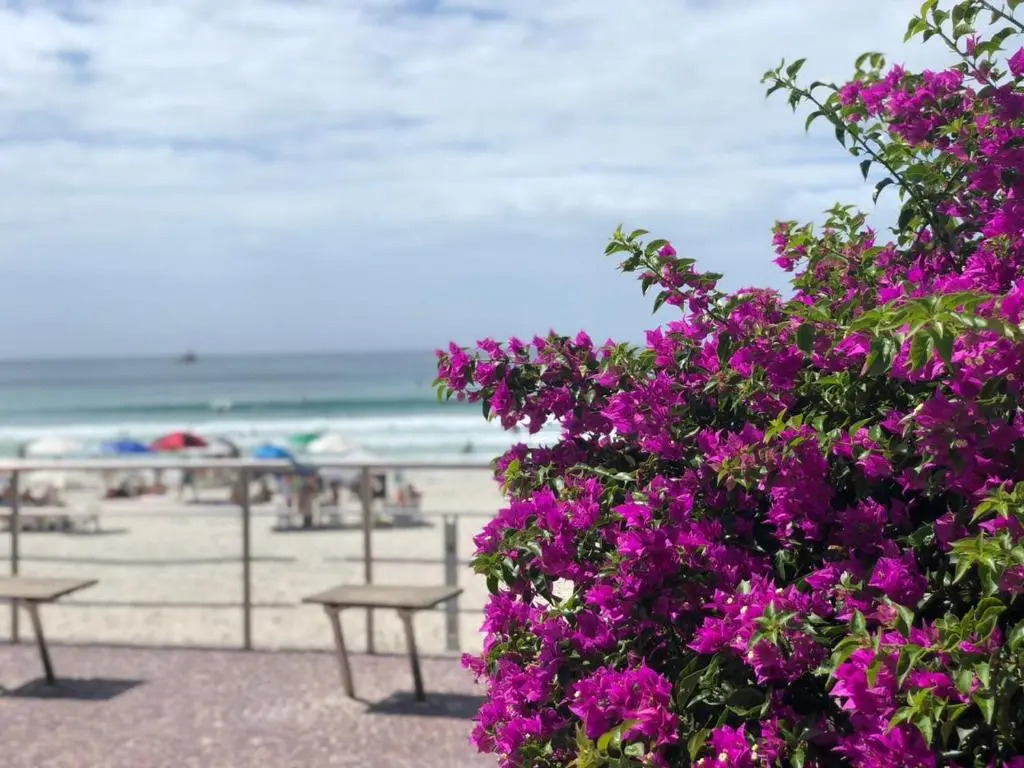 Apê da Praia