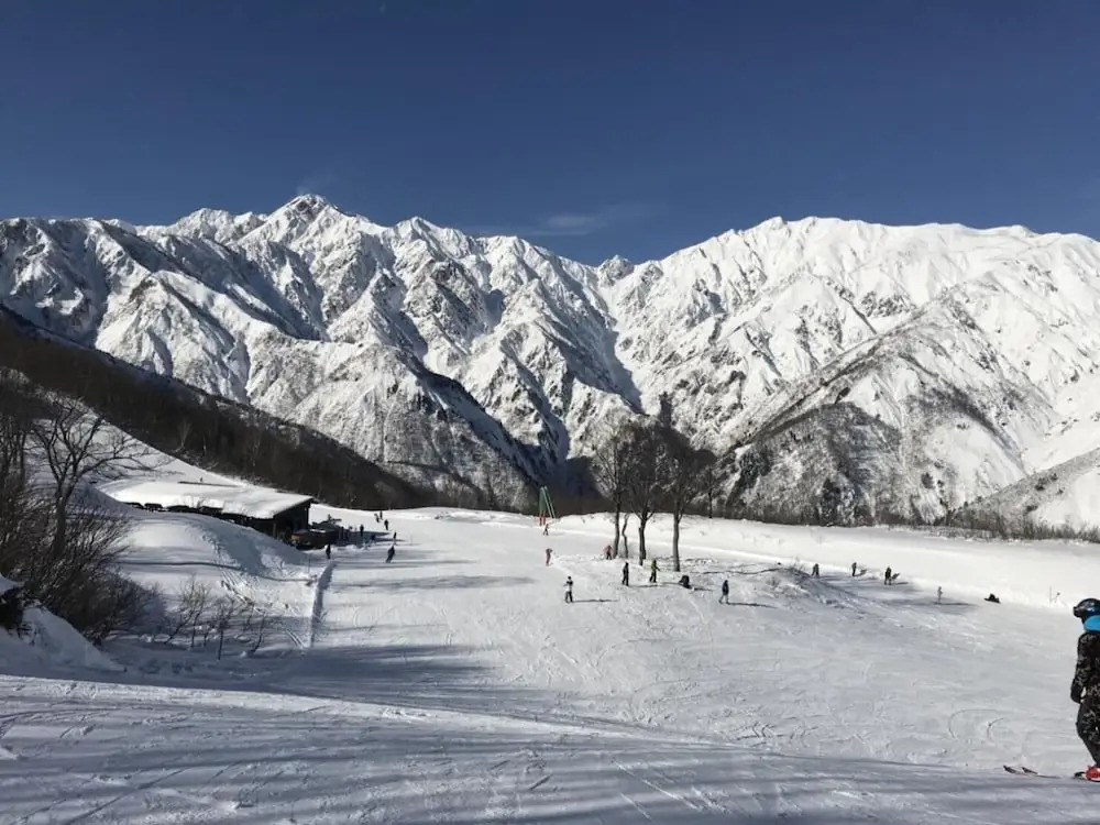 Sunny Side Hut