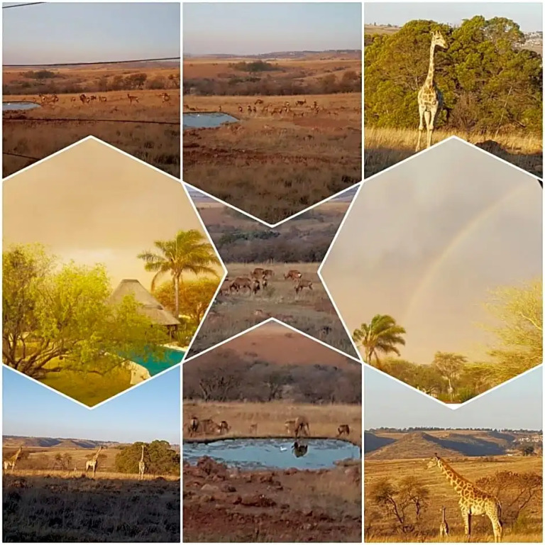 Rocky Aloe Lodge