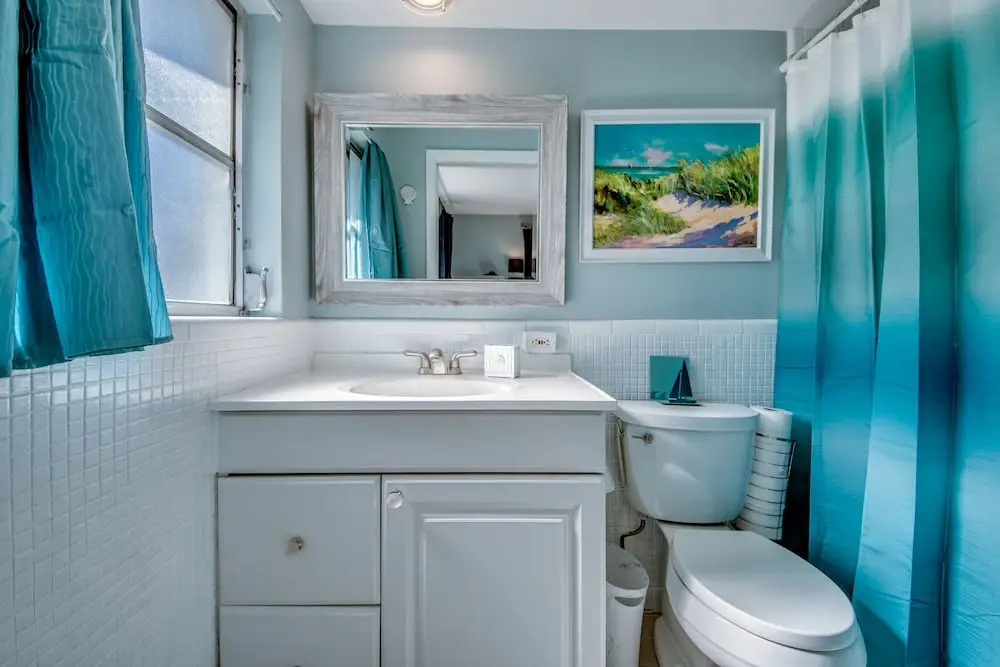 All About The Dolphins - Roelens Vacations