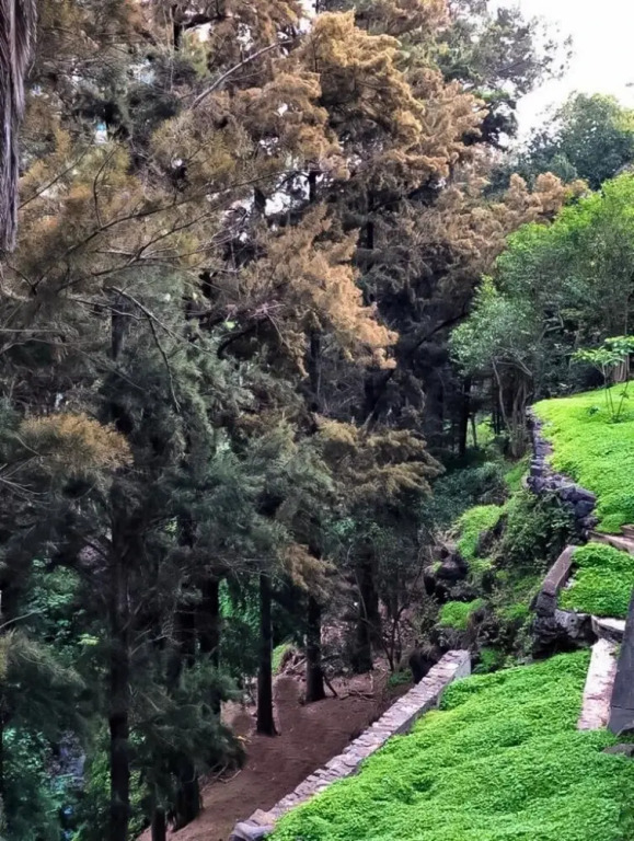 Quinta da Nogueira