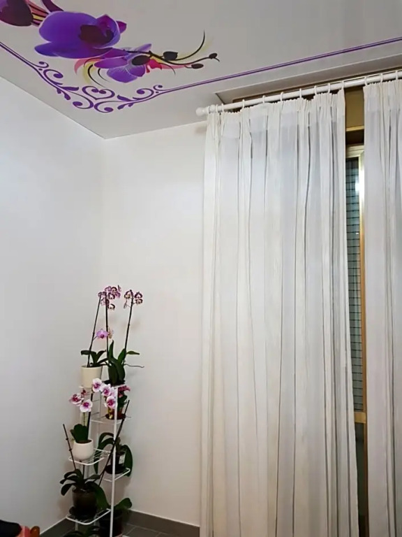 Orchidea