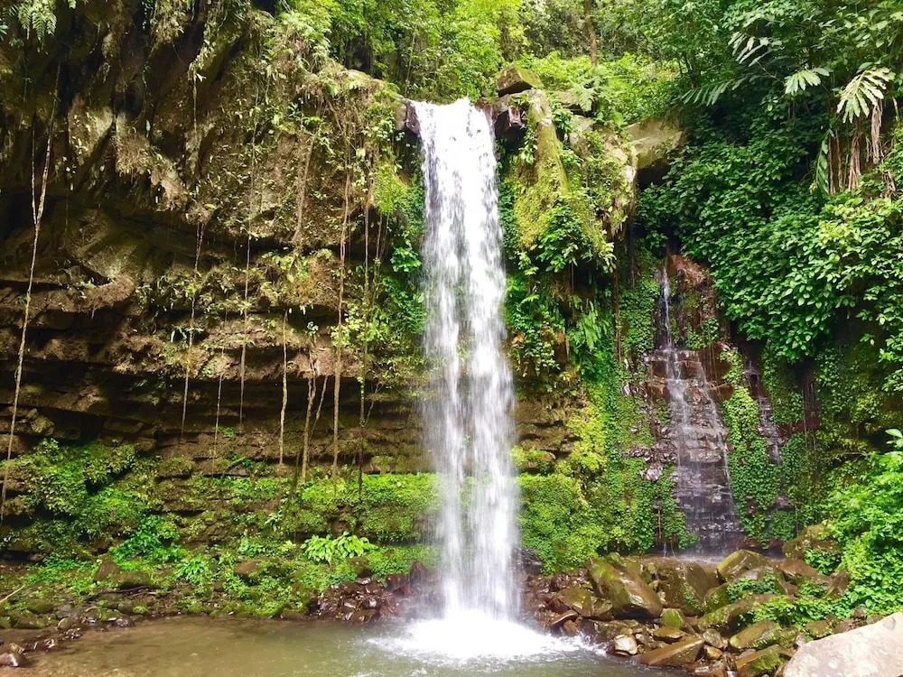 Borneo Kiim Resort