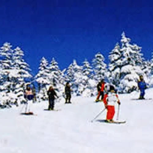 Shiga Kanko Hotel