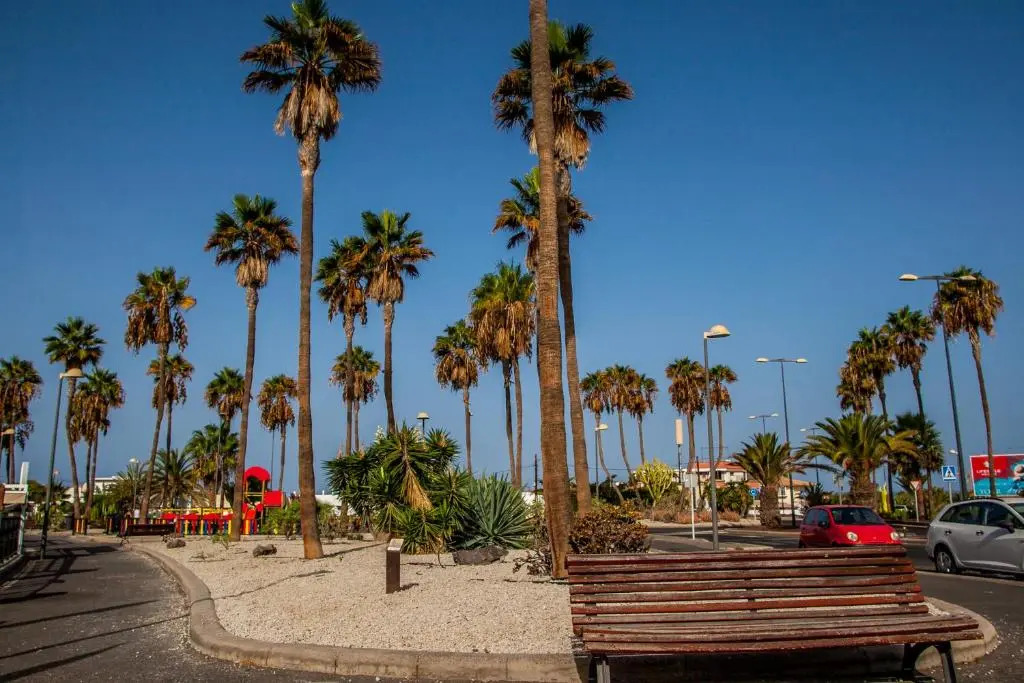 Duplex El Palmar 4P - C27
