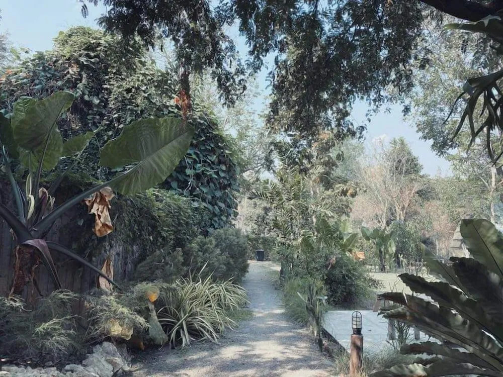 Rewild Camp And Cafe
