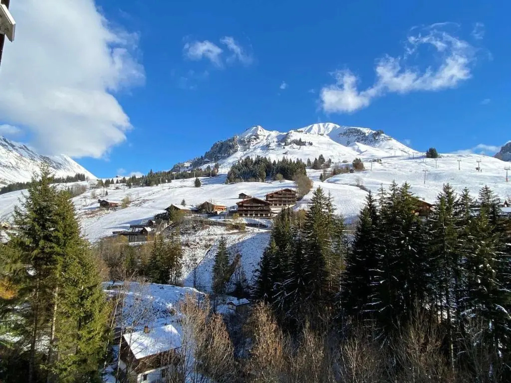 Appartement Le Grand-Bornand, 1 pièce, 4 personnes - FR-1-241-239