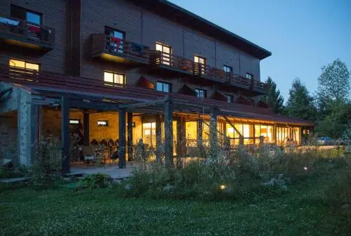 Pensiunea ANA Vistisoara