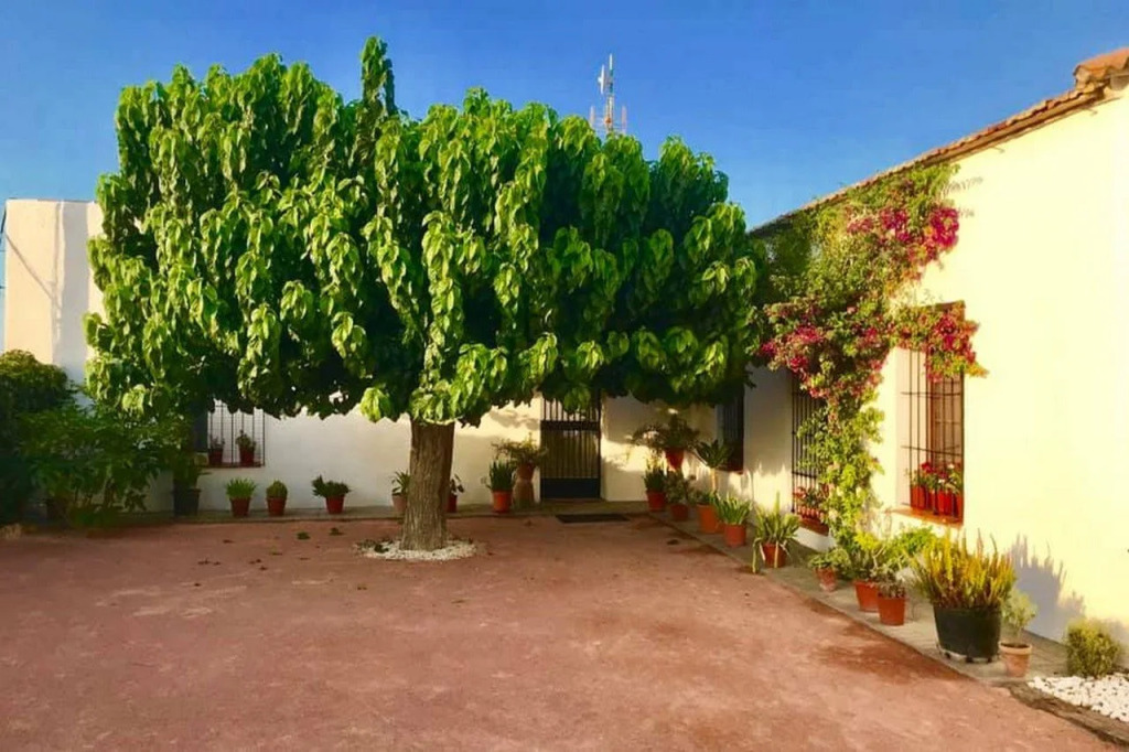 Casa Rural La Morera
