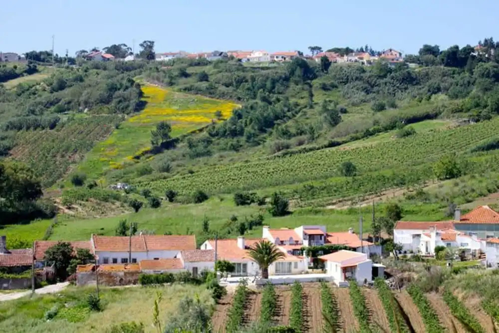 House With 3 Bedrooms in Salir de Matos, With Furnished Garden - 25 km
