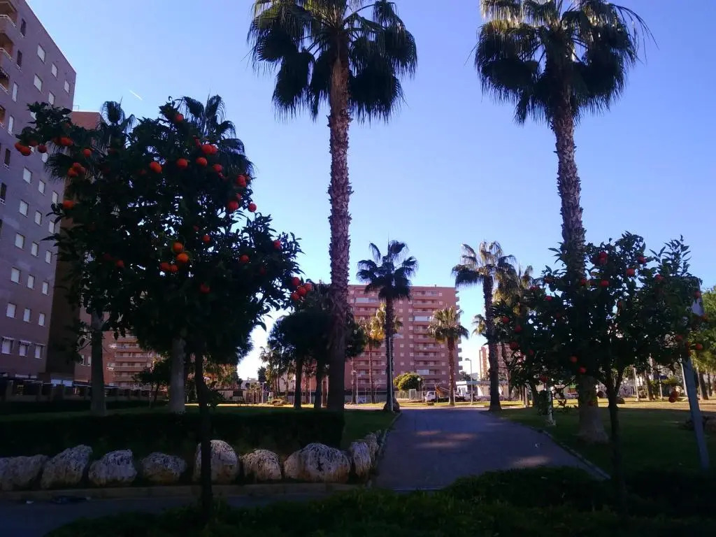 Acapulco II, 1a LINEA, Playa Amplaries