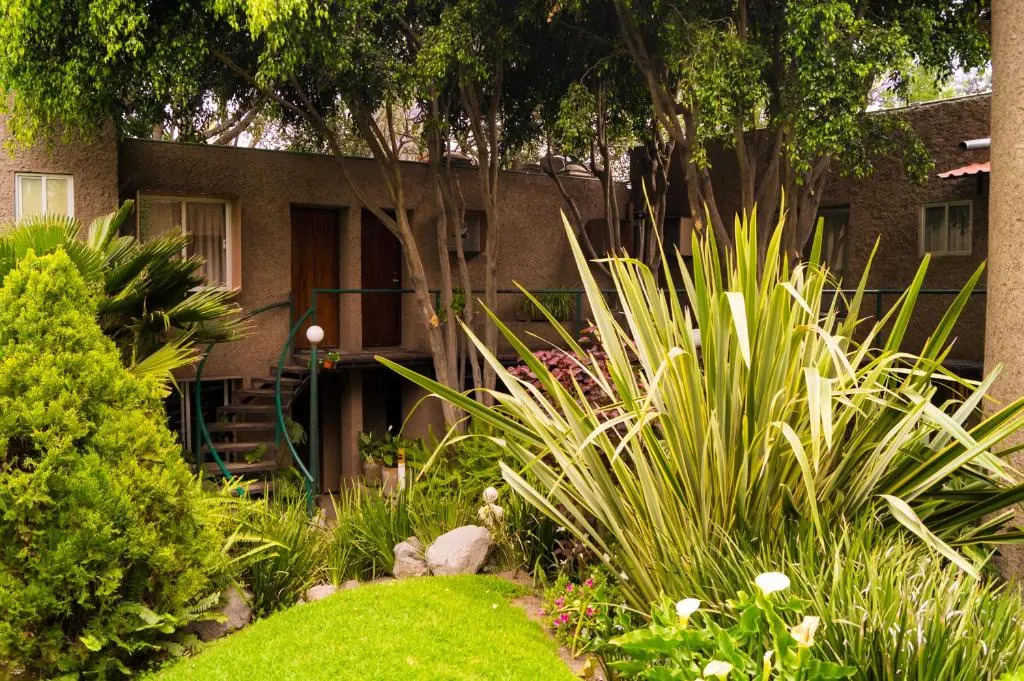 Suite 4A, Terraza, Garden House, Welcome to San Angel