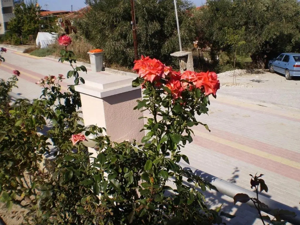 Anatolia Studios