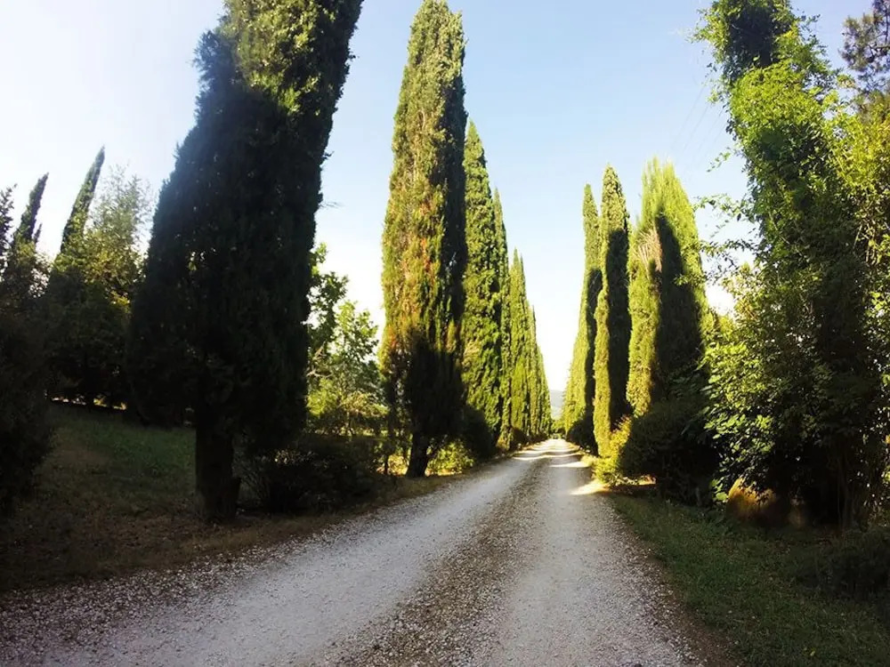 Agriturismo La Vita