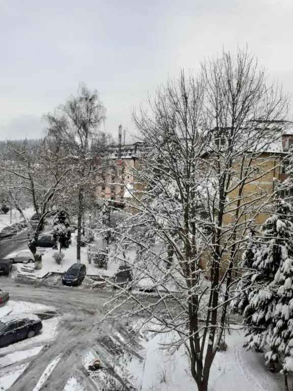 Apartament Ultra Central Marly Gura Humorului