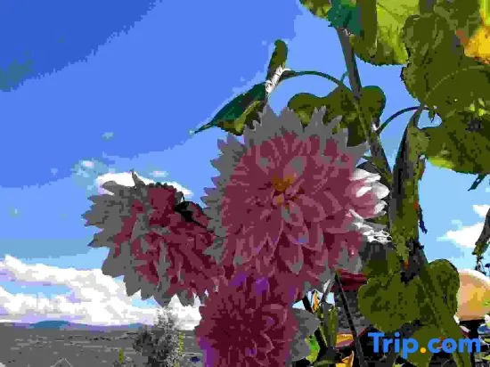 Songpanchuan Main Temple Chuanzang Self-driving Hotel