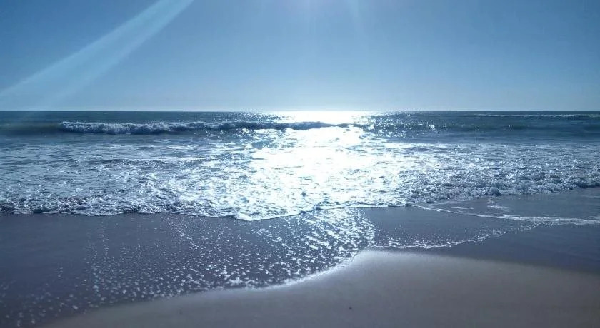 Paradialaw