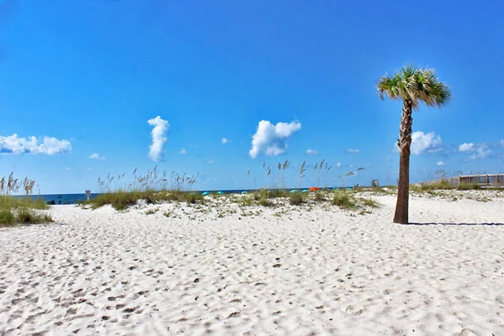 Ocean Reef 106