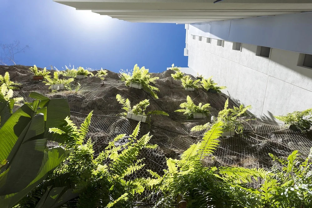 Your Dream Vacation in Tenerife Seaview