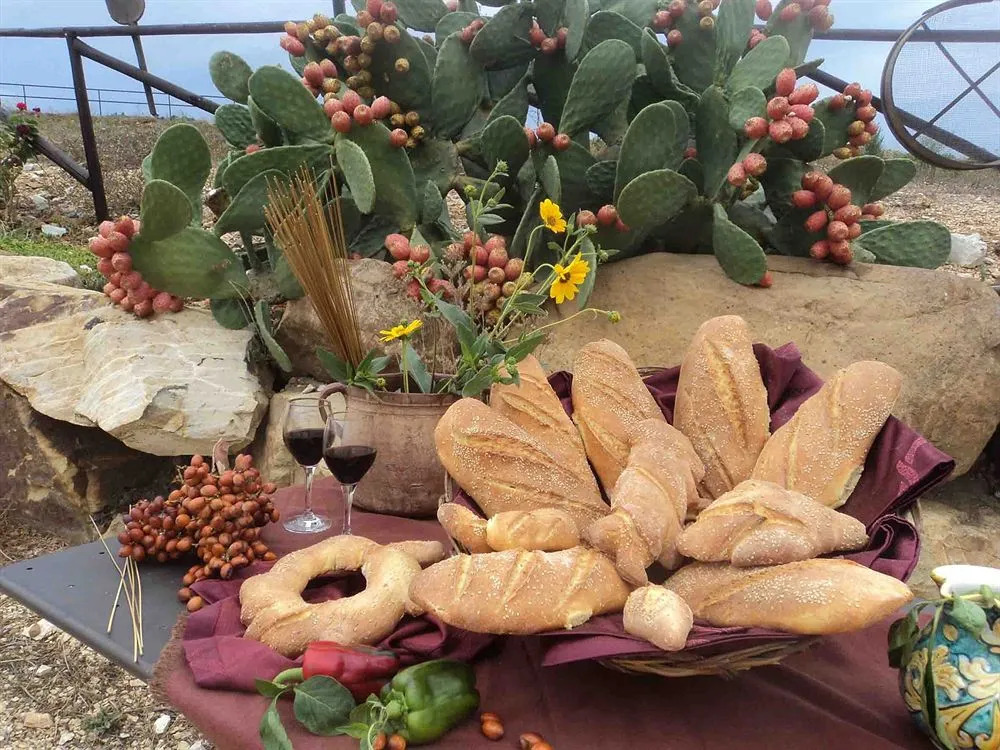 Arcudaci