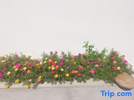Youran Shaoguang Homestay (Nanshan Ski Resort)