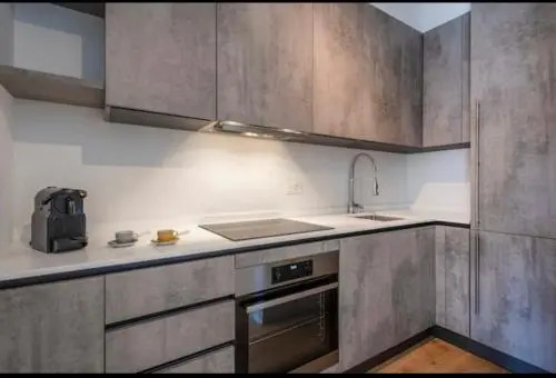 5 Rent Apartments Lugano