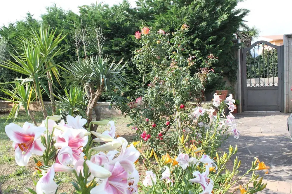 B&B Villa delle Rose