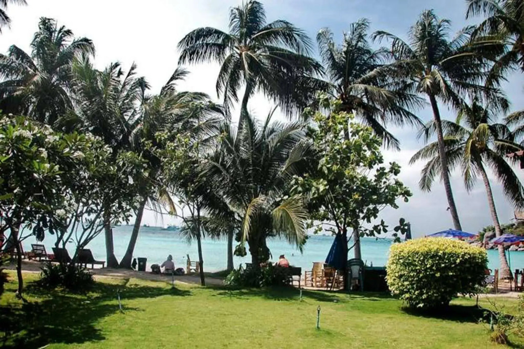 Palm Leaf Resort Koh Tao