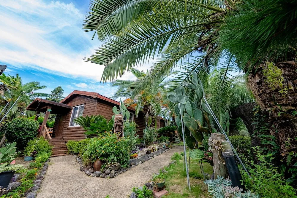 Seogwipo Baelritongnamubilriji Pension