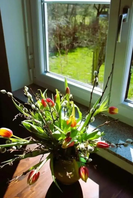Holiday Apartment Chapel
