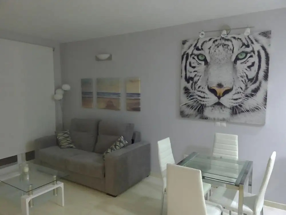 Apartamentos Castillo by Sur Suites