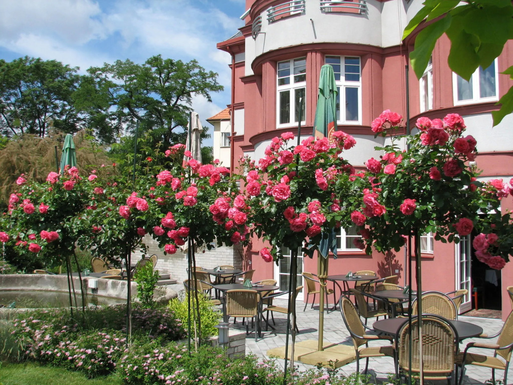 Hotel Villa
