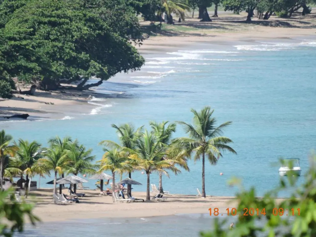 Amazing Beach View Apartments