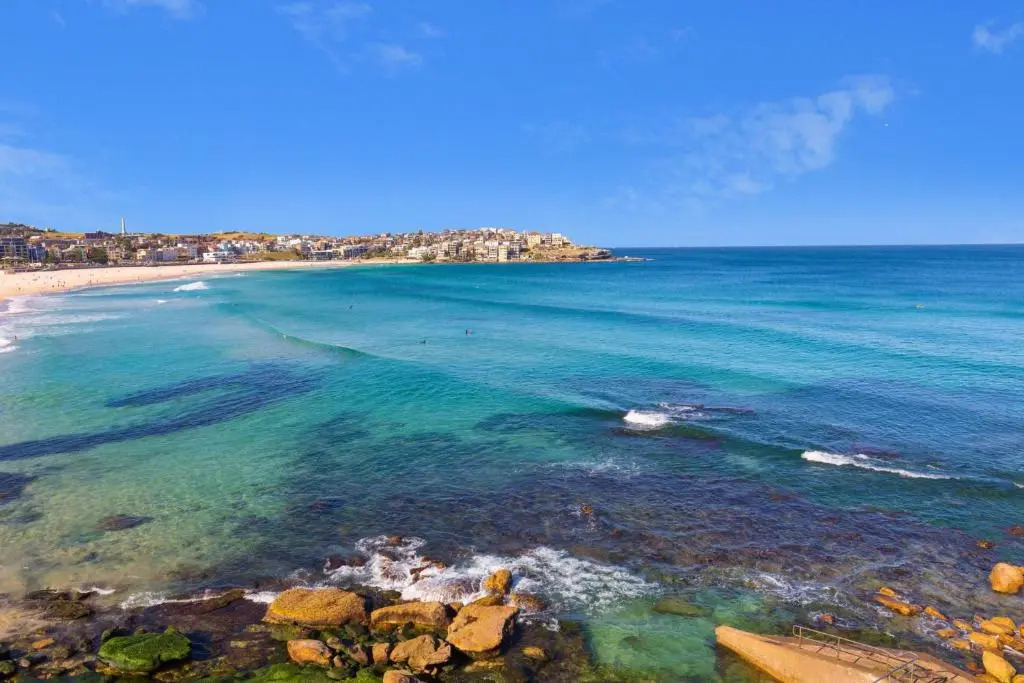 Little Drifter Bondi