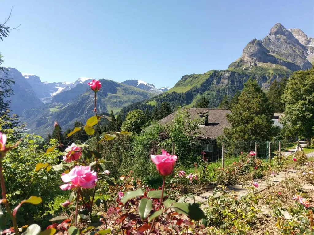 Adrenalin Backpackers Hotel