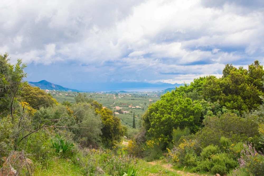Zante Lagos holiday homes Treehouse and Villa