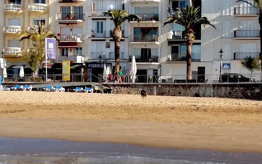 Beach and Garden